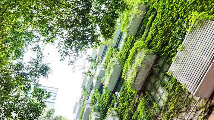 Background View of residential apartment balconies with green plants