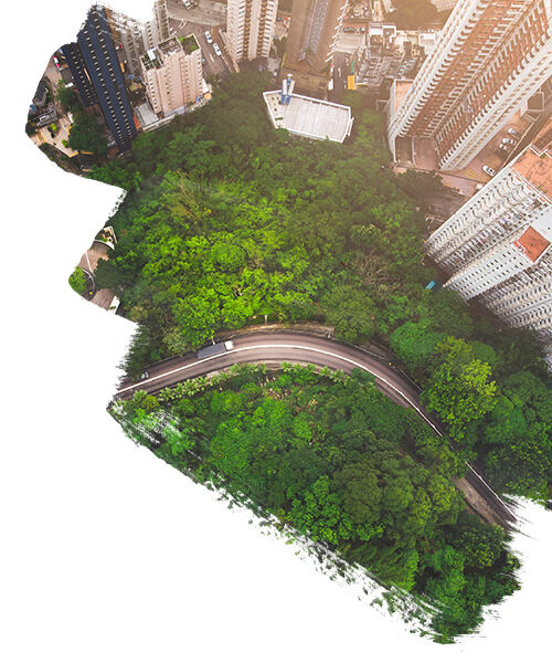 Aerial view of road in forest against buildings