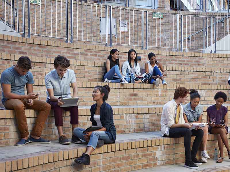 Image of students studying outside in groups